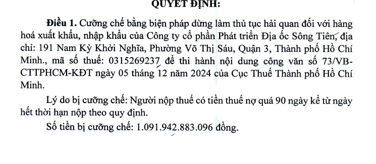 Địa ốc Sông Tiên nợ thuế hơn 1.000 tỷ đồng